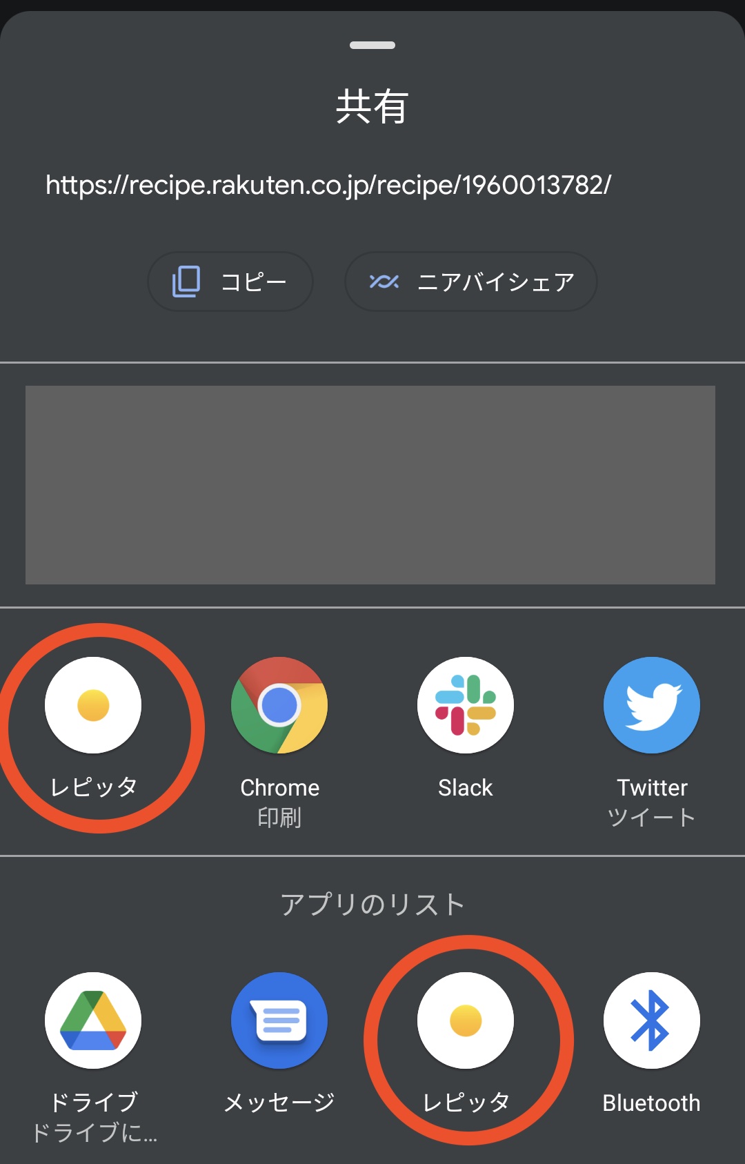 レピッタアイコン