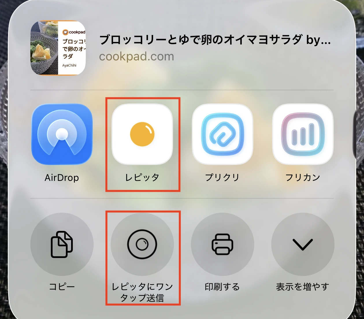 iPhone 공유 시트에서 Repitta 선택하기